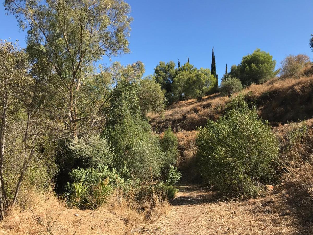 Studio Views Apartment, Cortijo Fruitful Hills Malaga Luaran gambar