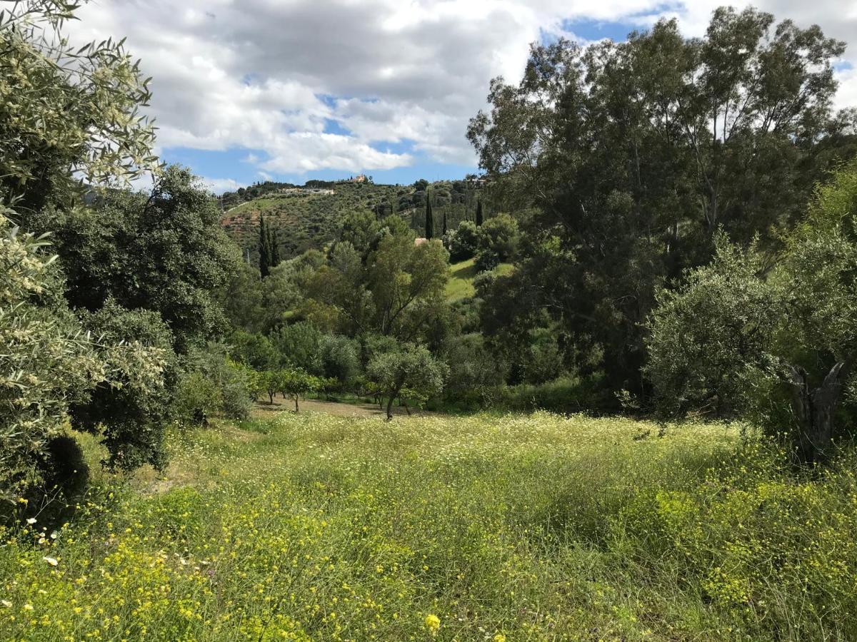 Studio Views Apartment, Cortijo Fruitful Hills Malaga Luaran gambar