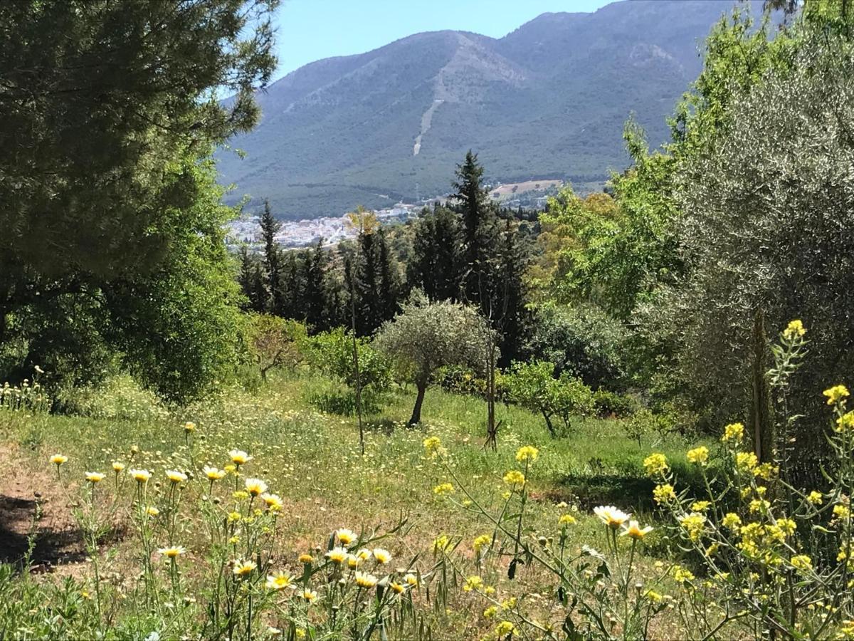 Studio Views Apartment, Cortijo Fruitful Hills Malaga Luaran gambar