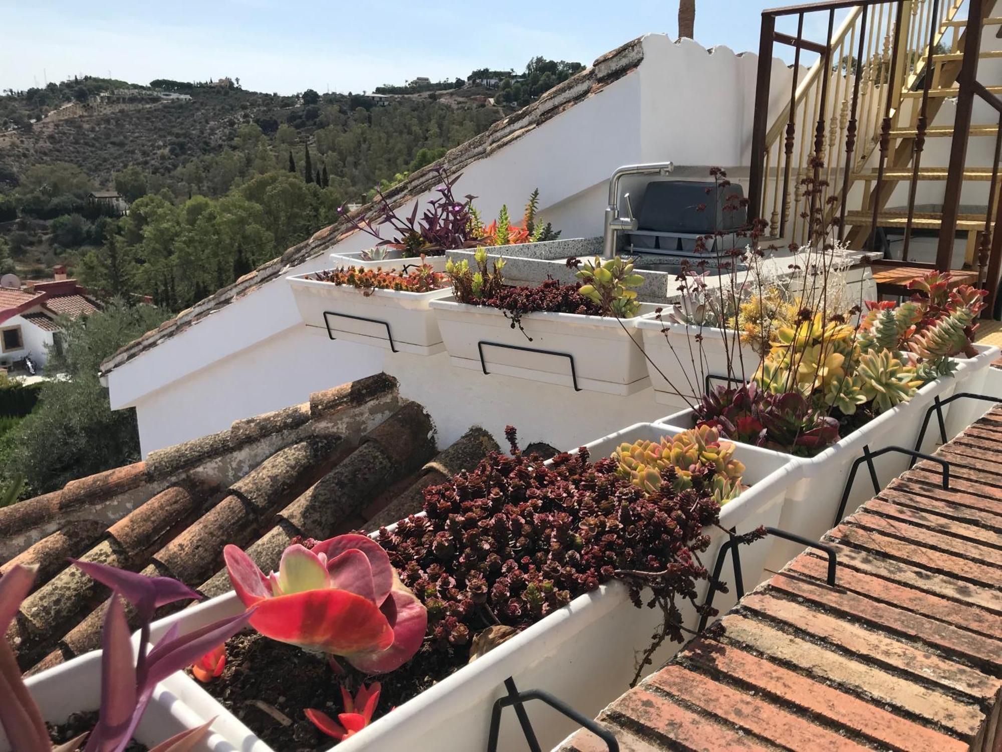 Studio Views Apartment, Cortijo Fruitful Hills Malaga Luaran gambar